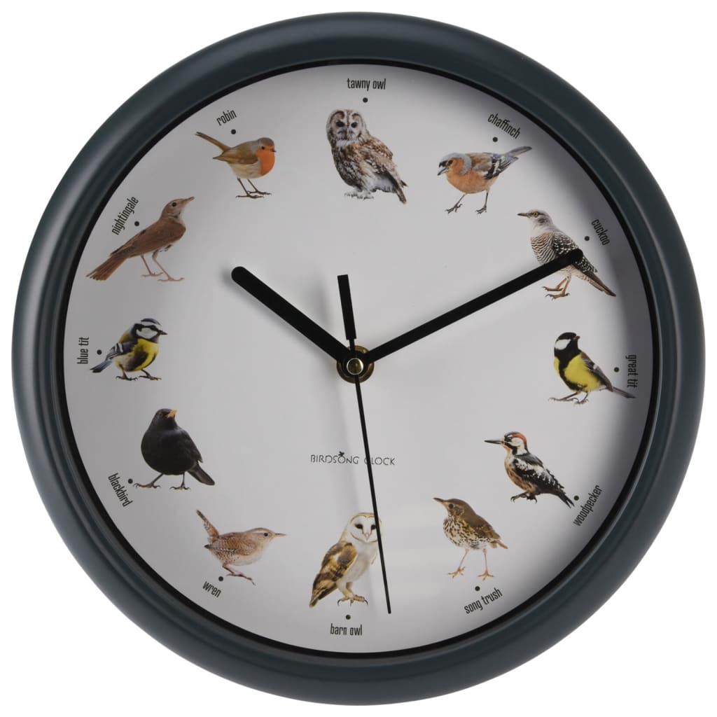 h-s-collection-wall-clock-with-bird-sounds-25-cm-932010 At Willow and Wine