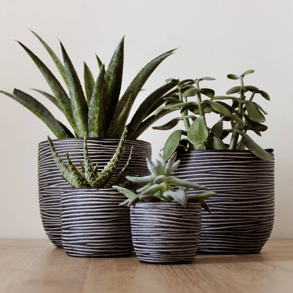 capi-4-piece-vase-set-nature-rib-anthracite At Willow and Wine