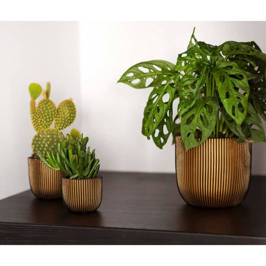 capi-4-piece-planter-set-groove-gold At Willow and Wine