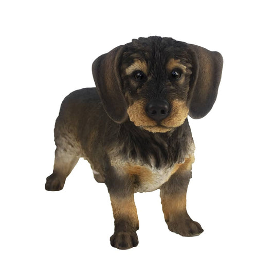 esschert-design-wirehaired-dachshund-50x15x27-8cm-919963 At Willow and Wine!