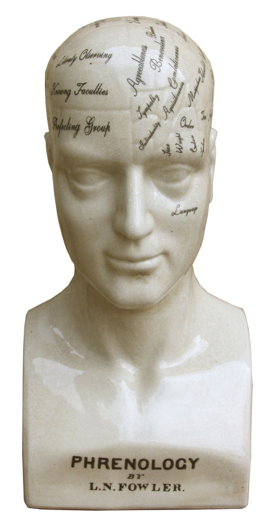 large-ceramic-phrenology-head-42cmat Willow and Wine!