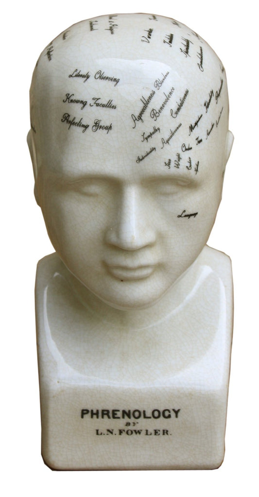 small-ceramic-phrenology-head-19cmat Willow and Wine!