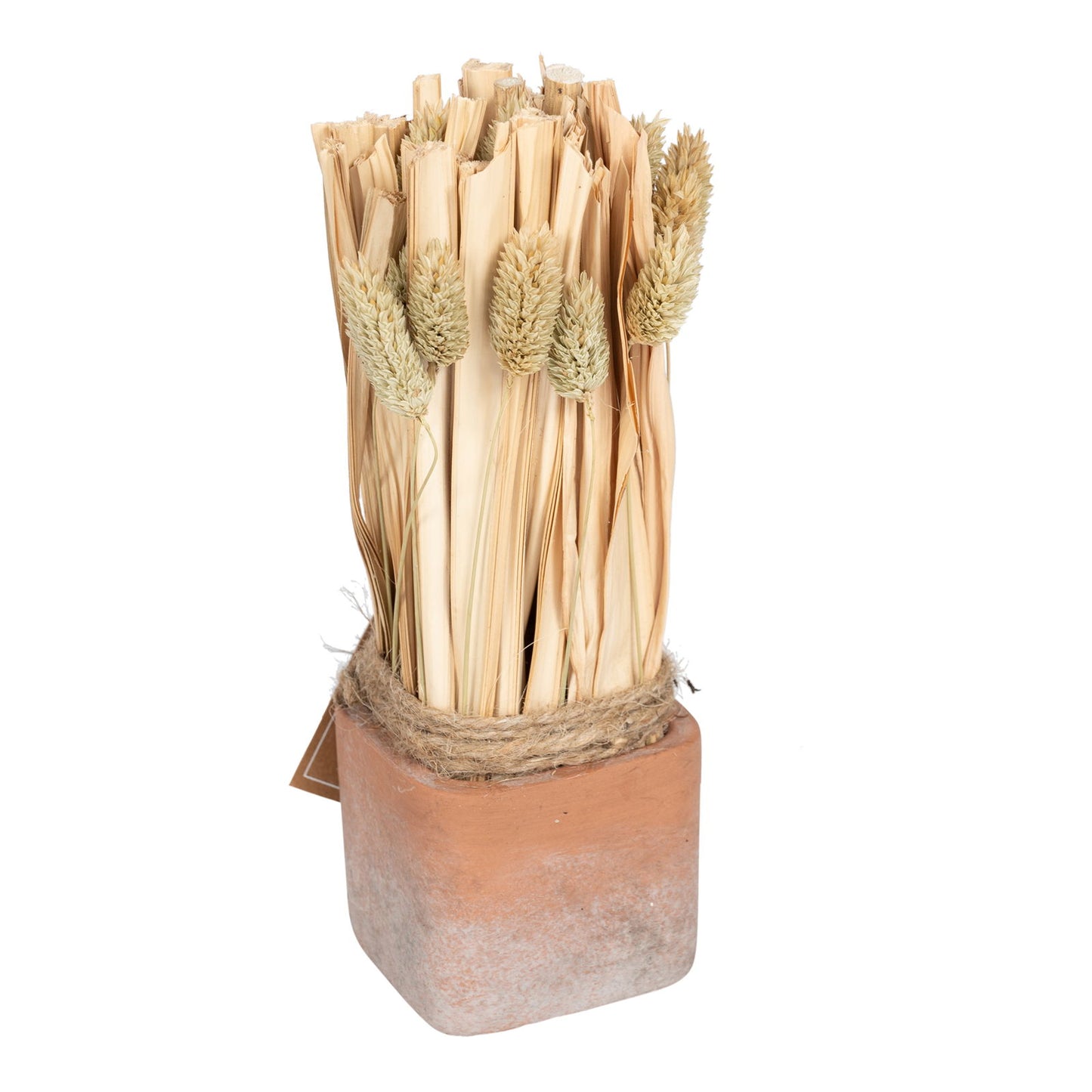 fox-tail-dried-grass-bouquet-in-terracotta-pot-largeat Willow and Wine!