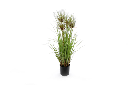 artificial-green-papyrus-plant-65cmat Willow and Wine!