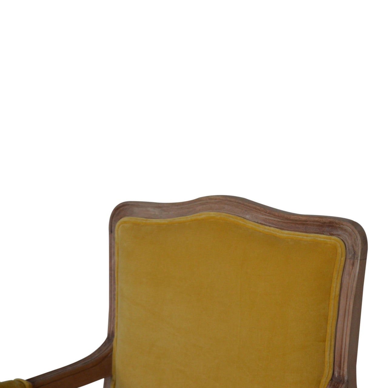 mustard-velvet-french-style-chairat Willow and Wine!