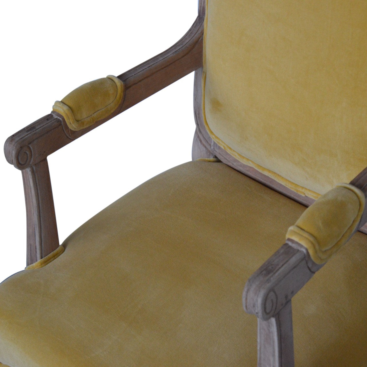 mustard-velvet-french-style-chairat Willow and Wine!