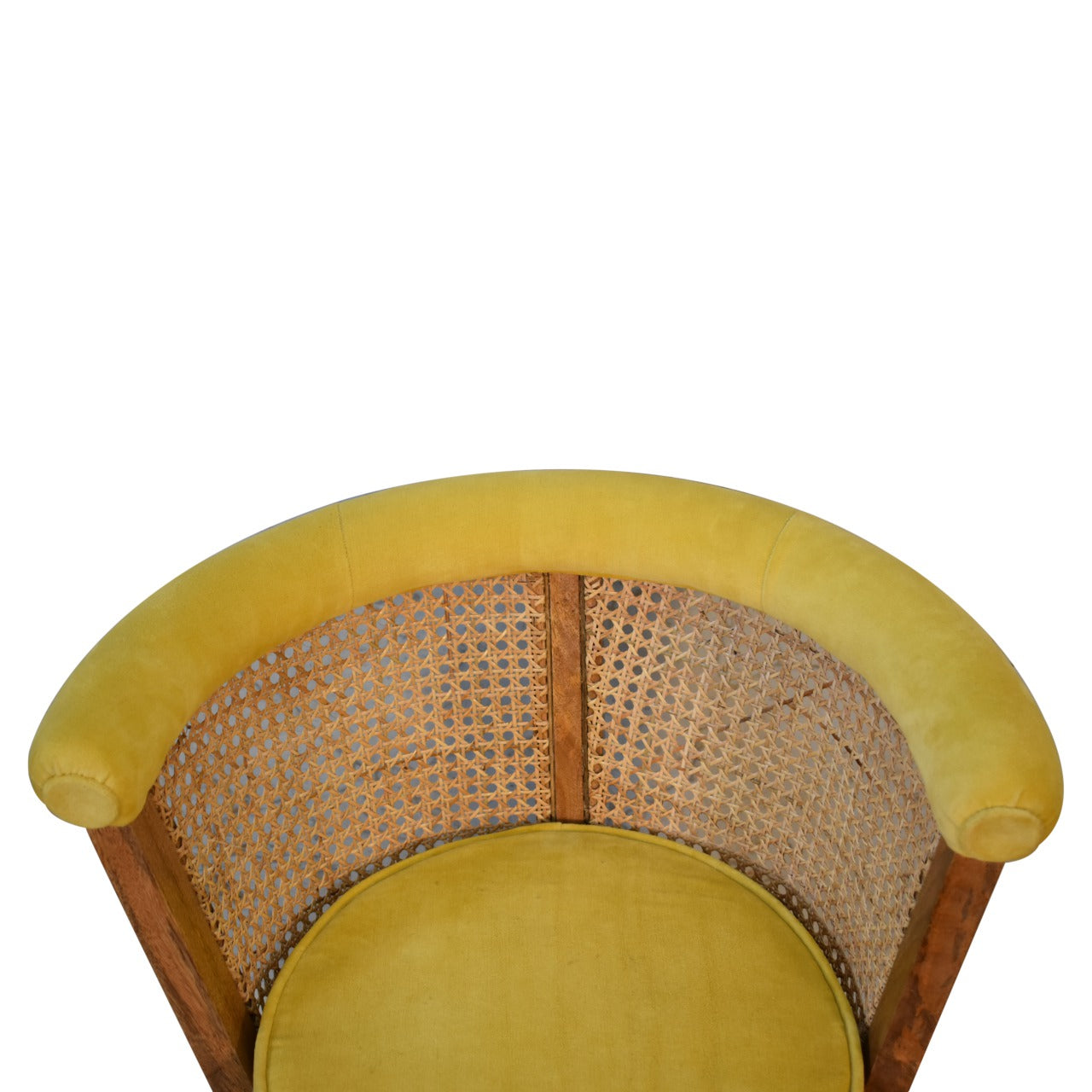 larissa-mustard-velvet-nordic-chair-2at Willow and Wine!