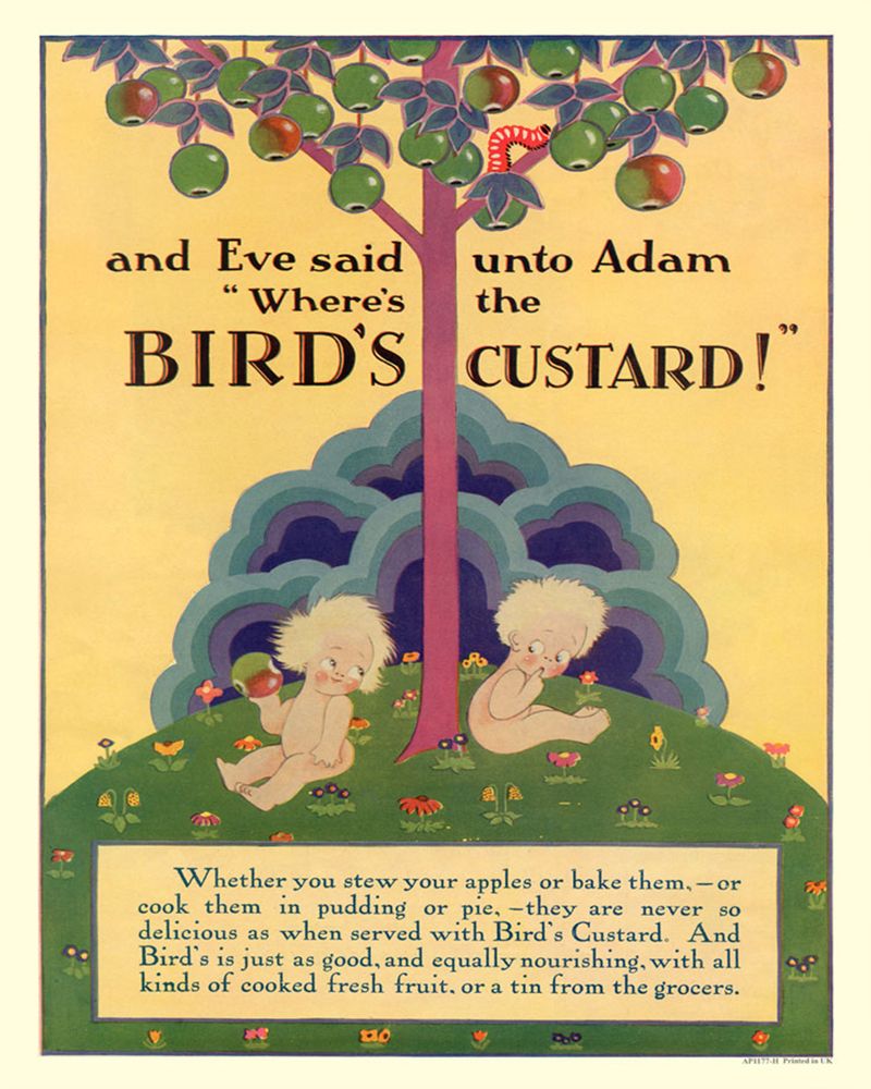 vintage-metal-sign-retro-advertising-birds-custard-adam-eveat Willow and Wine!