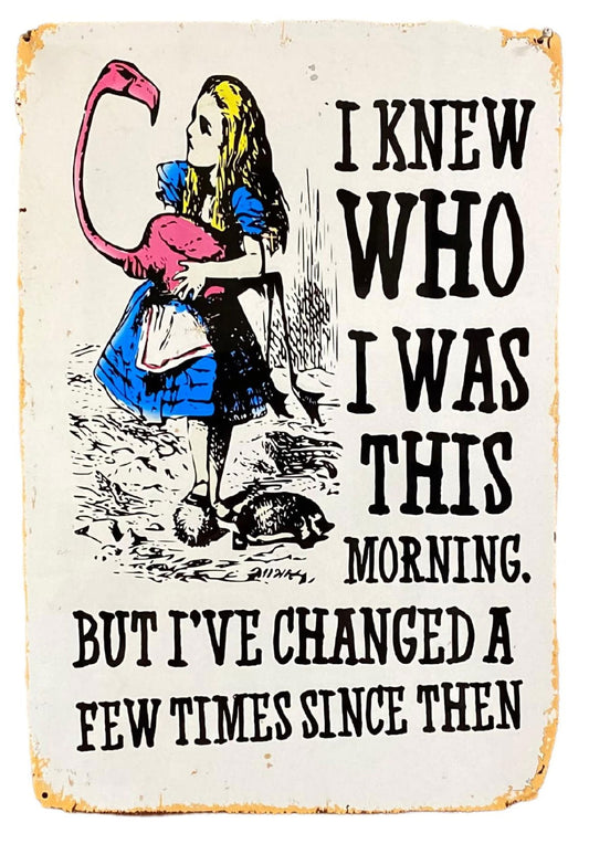 vintage-metal-sign-alice-in-wonderland-i-knew-who-i-was-but-ive-changedat Willow and Wine!