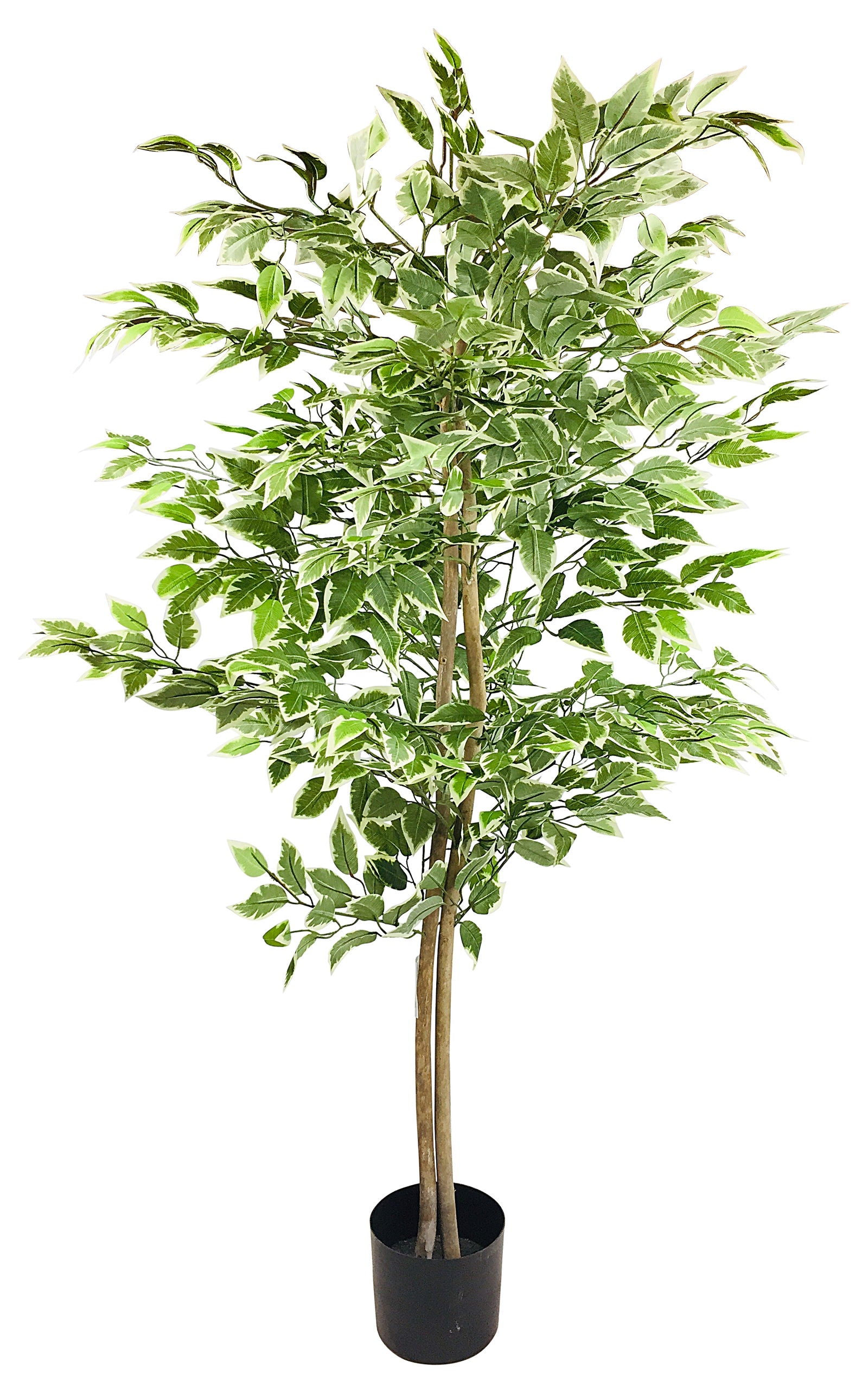 artificial-ficus-tree-with-variegation-leaves-150cmat Willow and Wine!