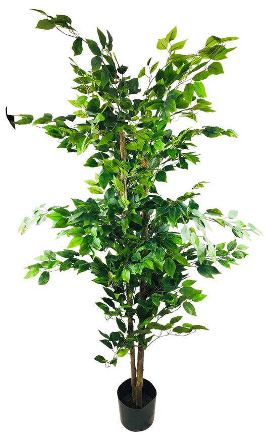 artificial-ficus-tree-with-pot-1-8mat Willow and Wine!