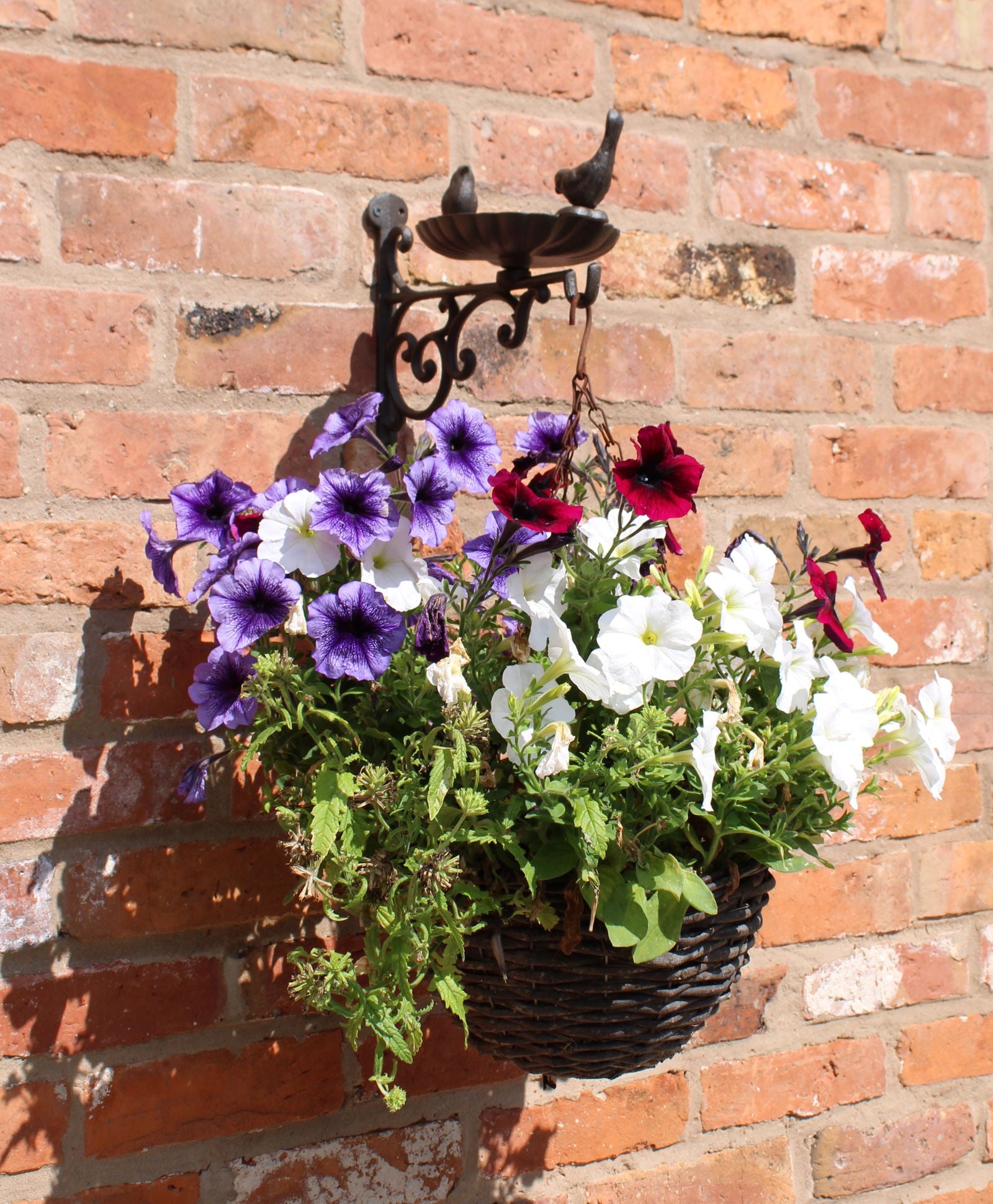 cast-iron-hanging-basket-wall-bracket-with-bird-feederat Willow and Wine!