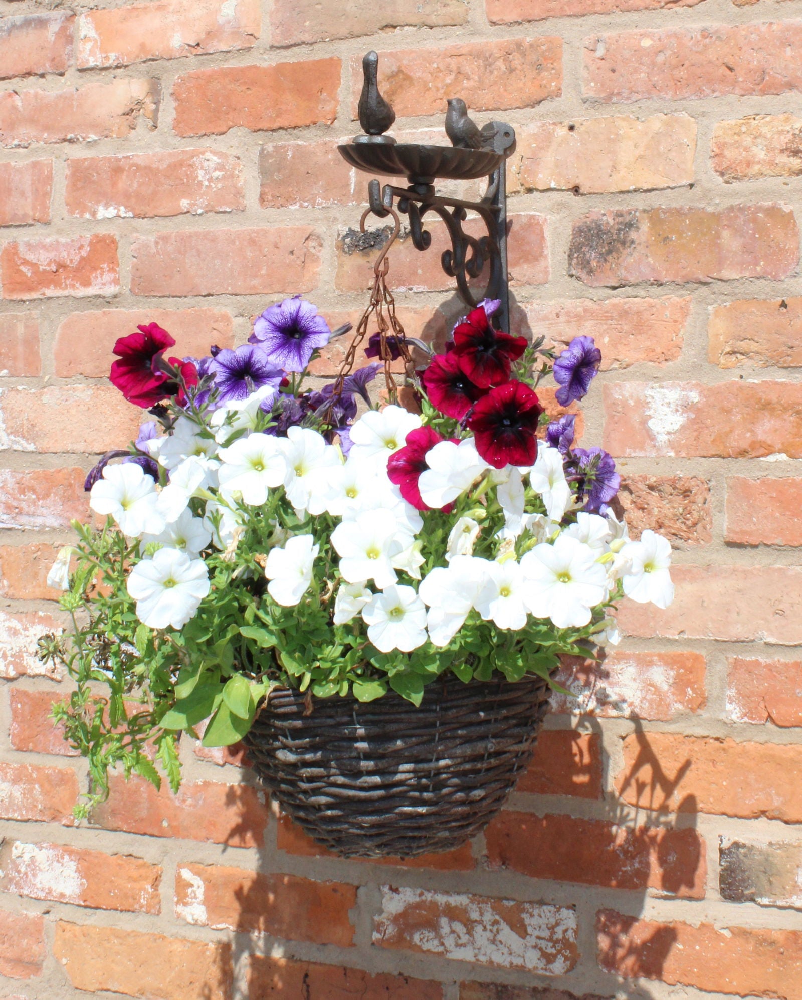 cast-iron-hanging-basket-wall-bracket-with-bird-feederat Willow and Wine!