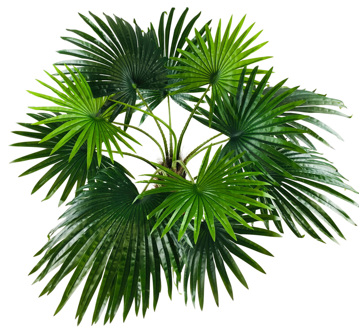 artificial-fan-palm-tree-150cmat Willow and Wine!