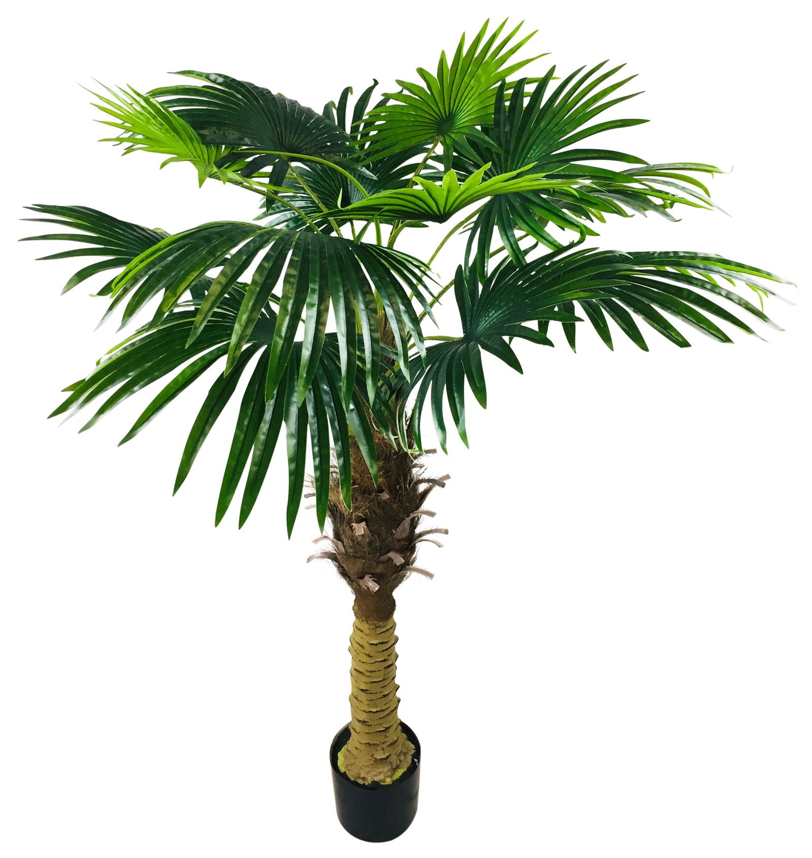 artificial-fan-palm-tree-150cmat Willow and Wine!