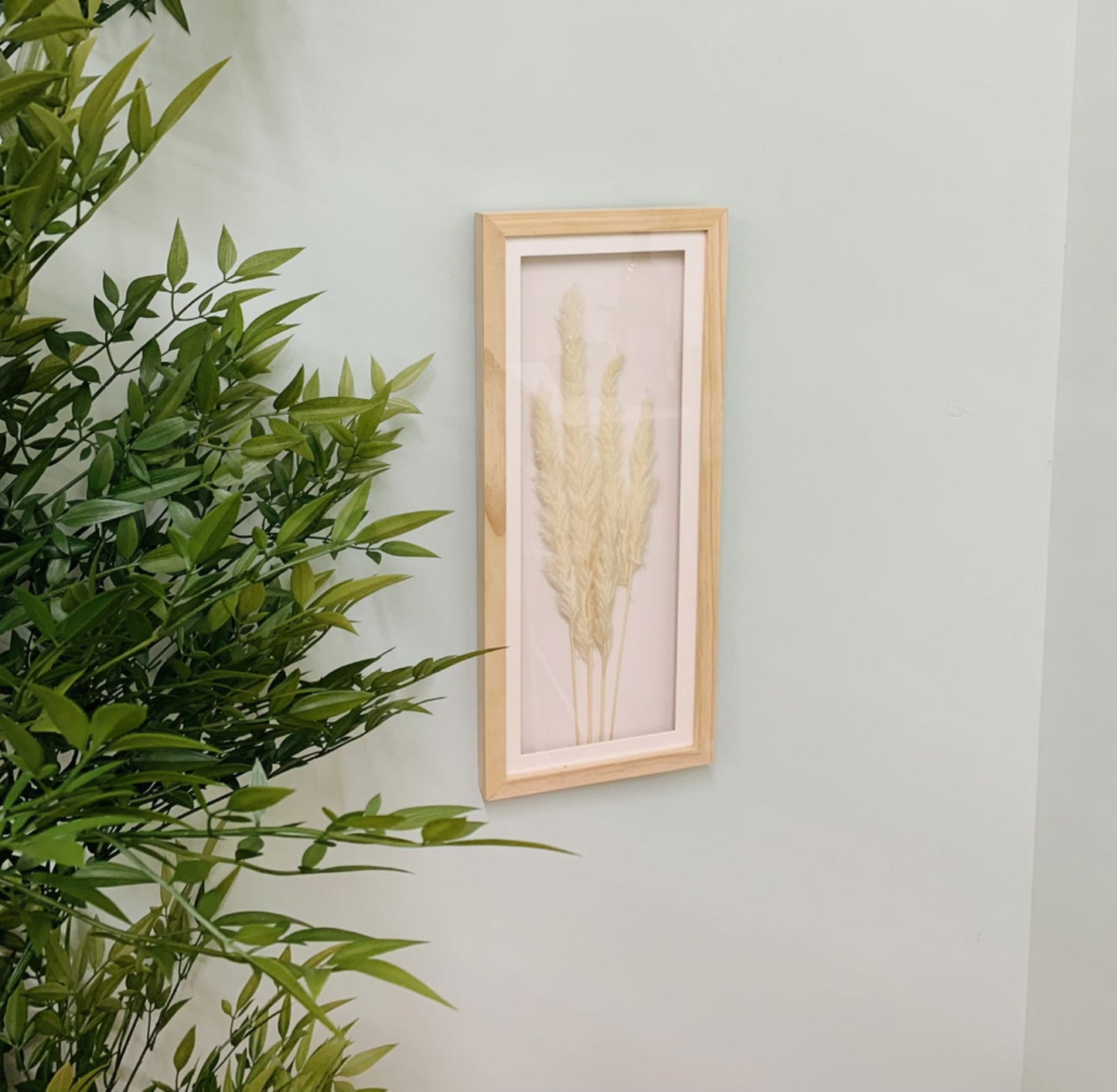 white-pampas-in-rectangular-frame-50cmat Willow and Wine!