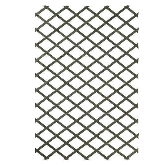 Nature 2 pcs Garden Trellises 100x200 cm Wood Green at Willow and Wine
