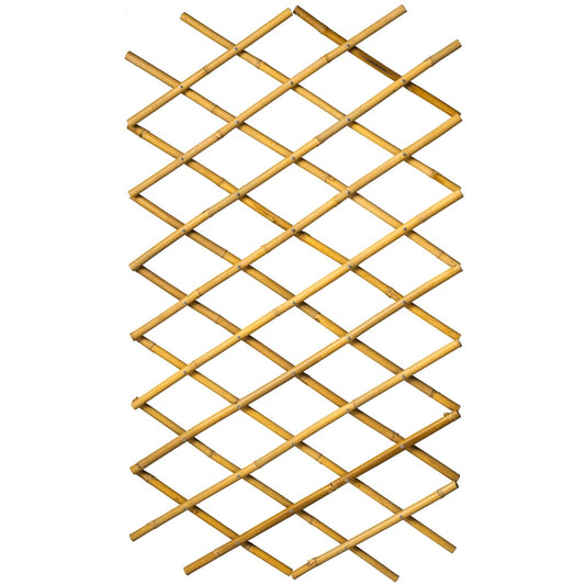Nature Garden Trellis 100x200 cm Bamboo 6040722 at Willow and Wine