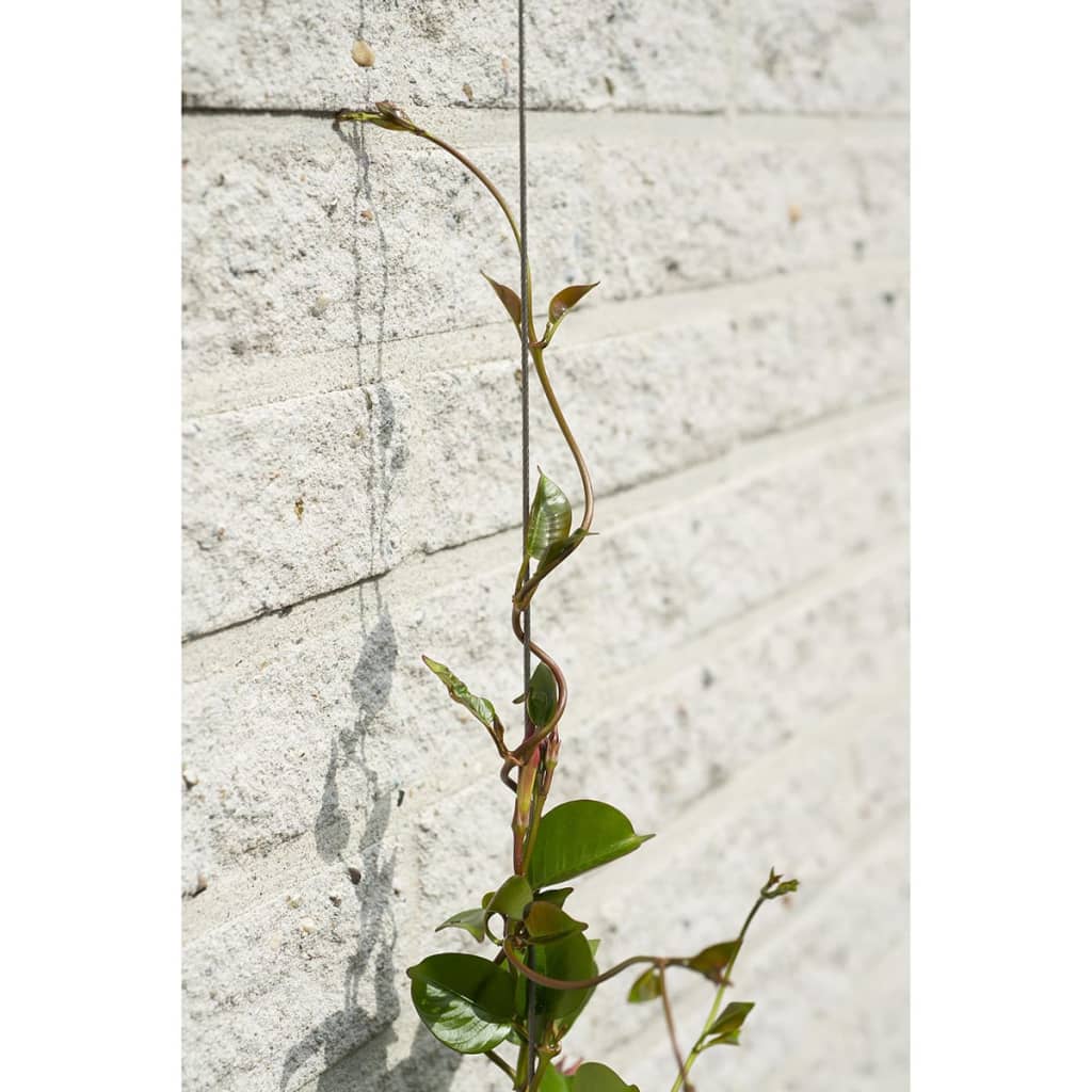 Nature Wire Trellis Sets for Climbing Plants 2 pcs at Willow and Wine