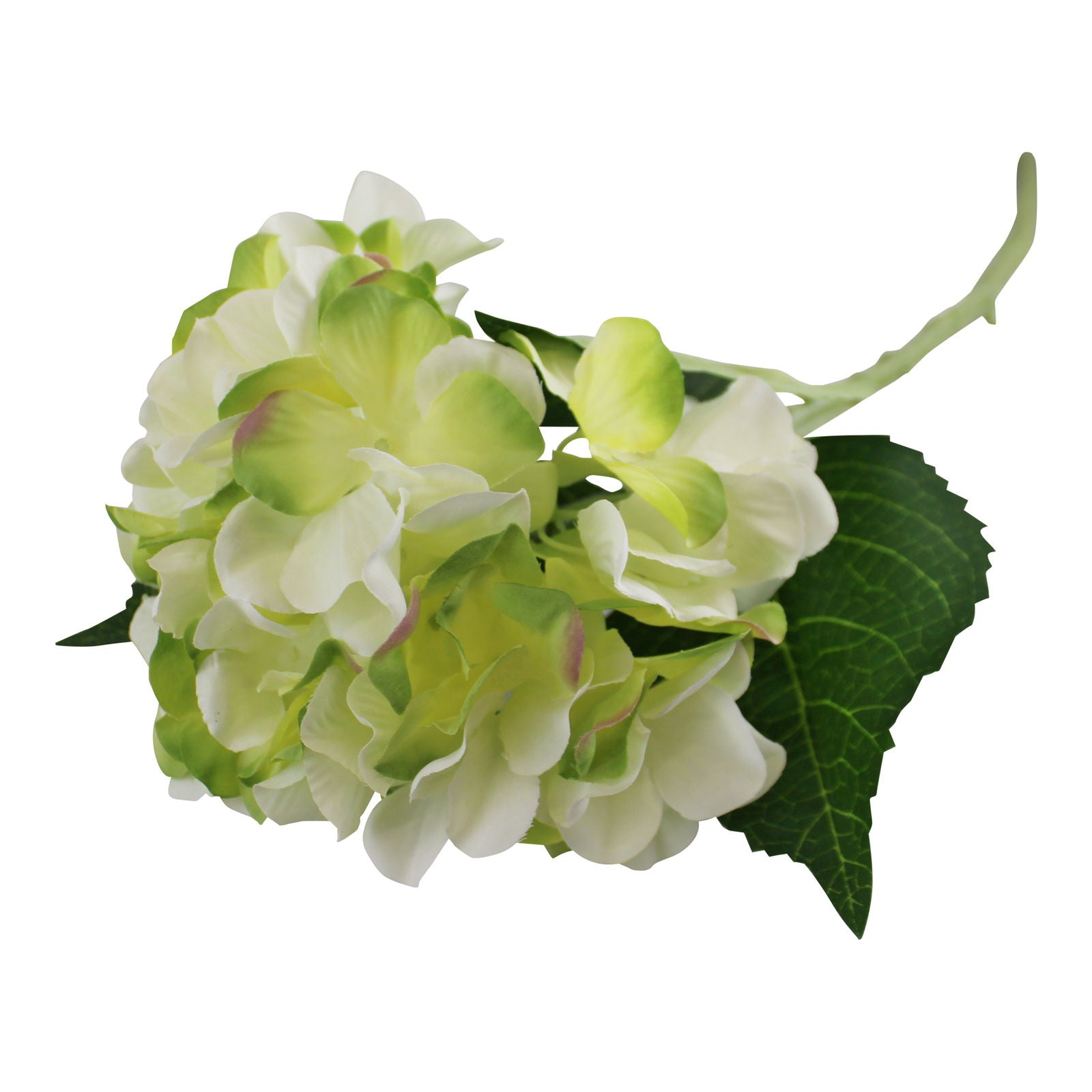 single-hydrangea-spray-cream-green-flower-49cmat Willow and Wine!