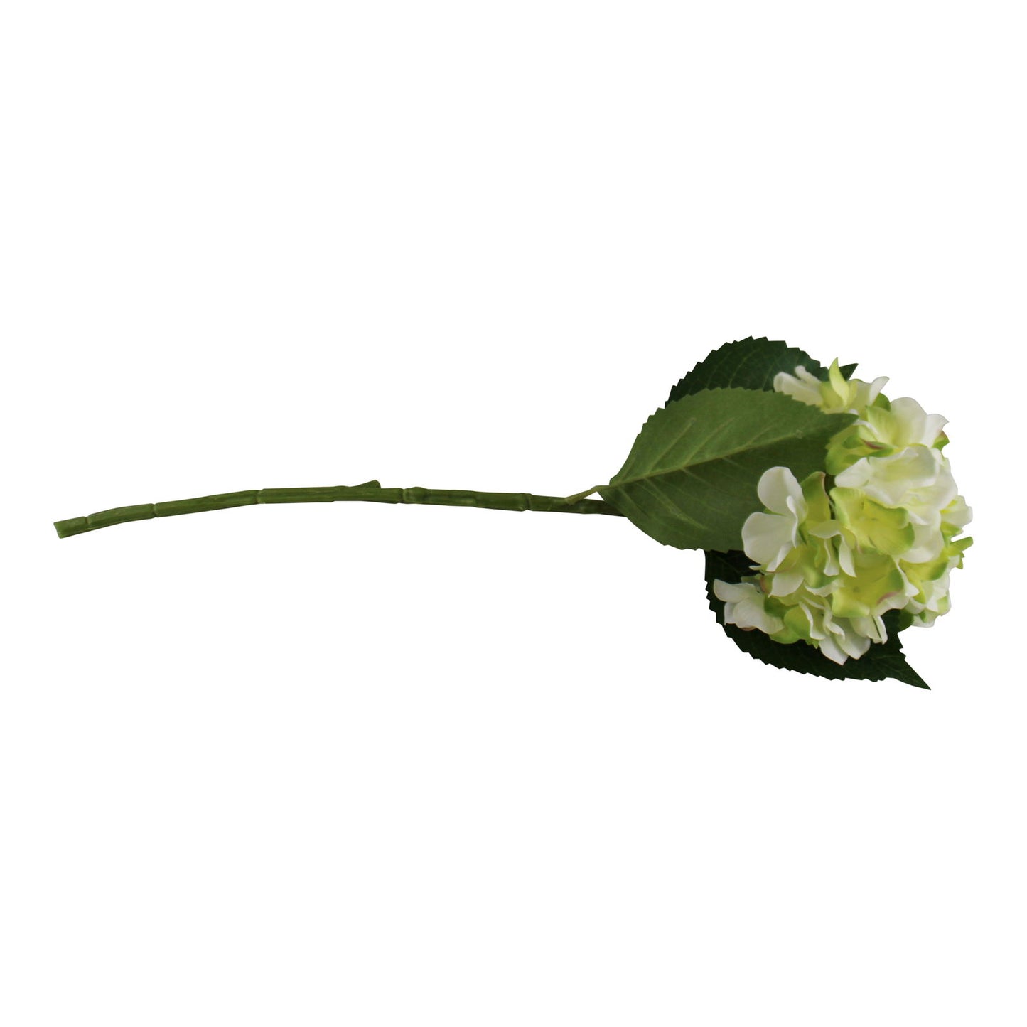 single-hydrangea-spray-cream-green-flower-49cmat Willow and Wine!