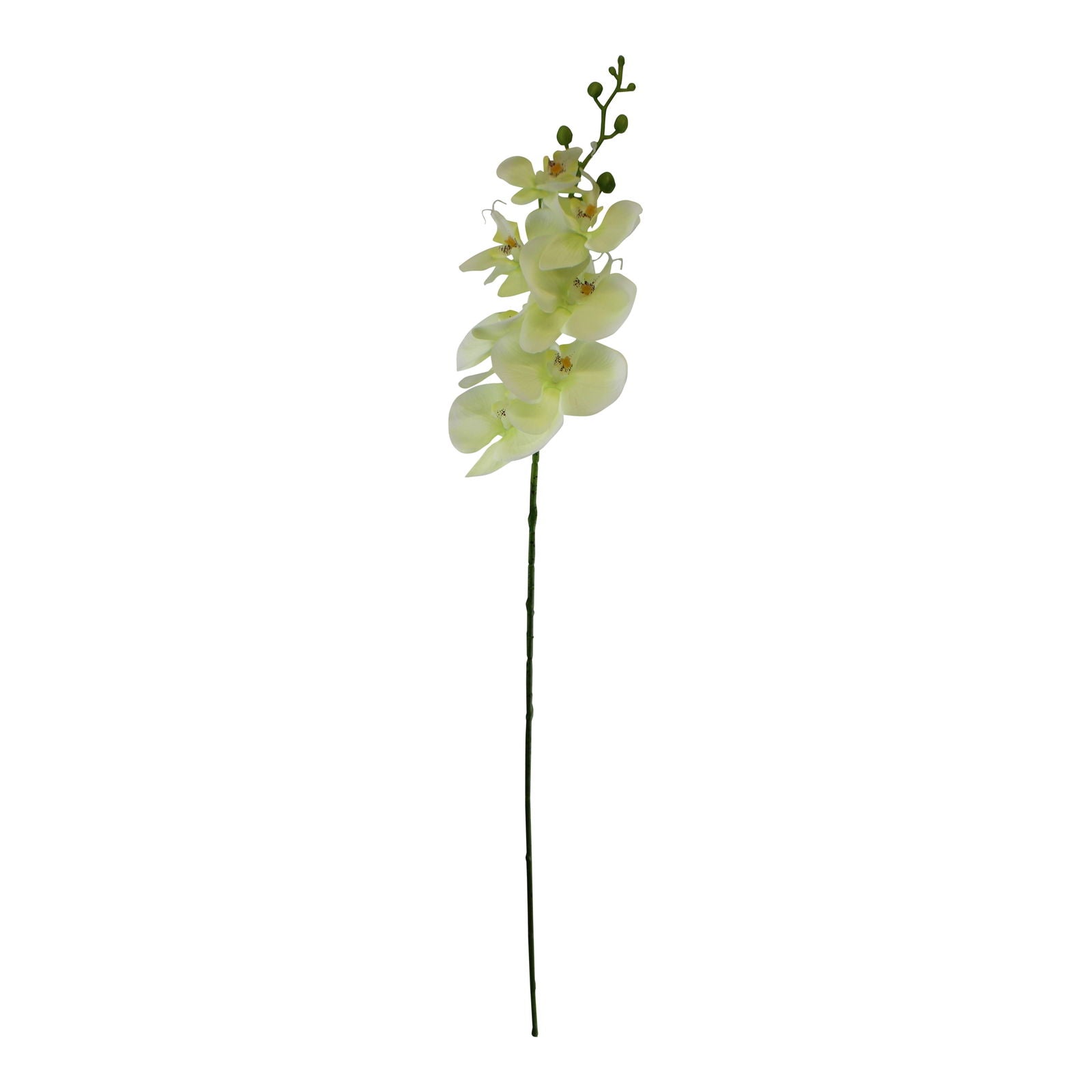 single-orchid-spray-cream-flowers-85cmat Willow and Wine!