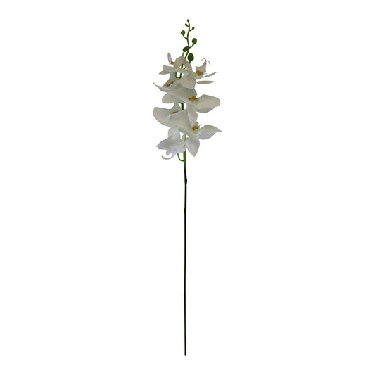 single-orchid-spray-white-flowers-85cmat Willow and Wine!