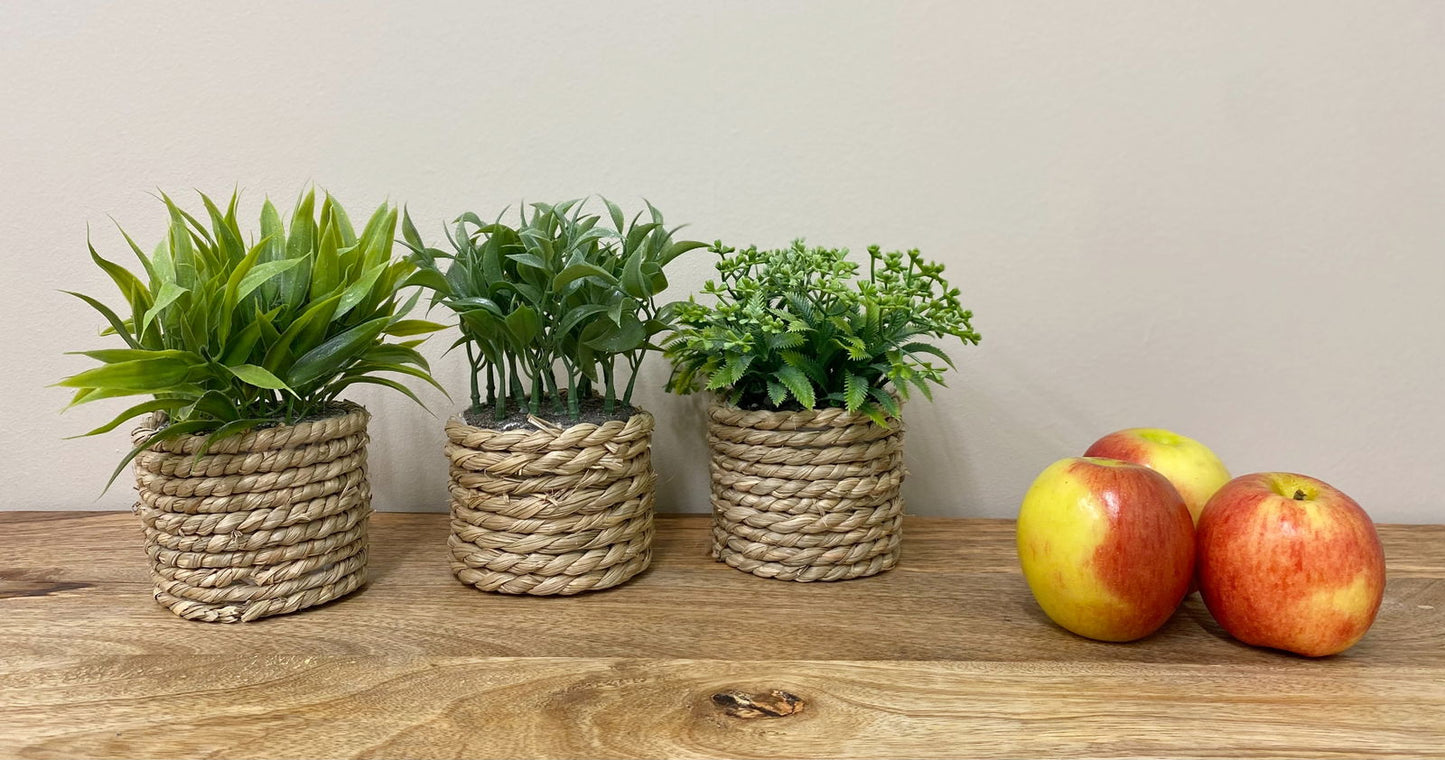 a-set-of-three-rope-effect-pots-and-artificial-succulentsat Willow and Wine!