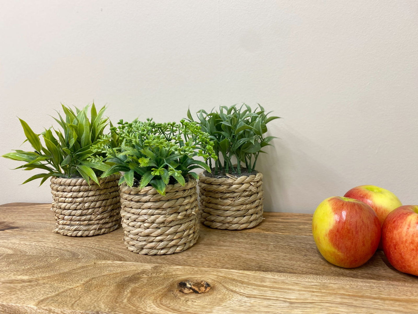 a-set-of-three-rope-effect-pots-and-artificial-succulentsat Willow and Wine!