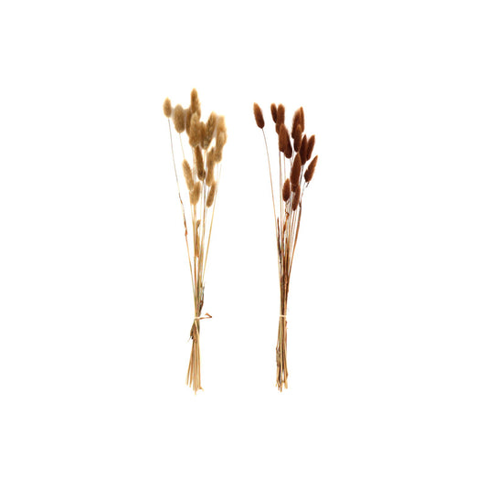 set-of-two-natural-dried-lagarus-bouquets-in-cream-brownat Willow and Wine!