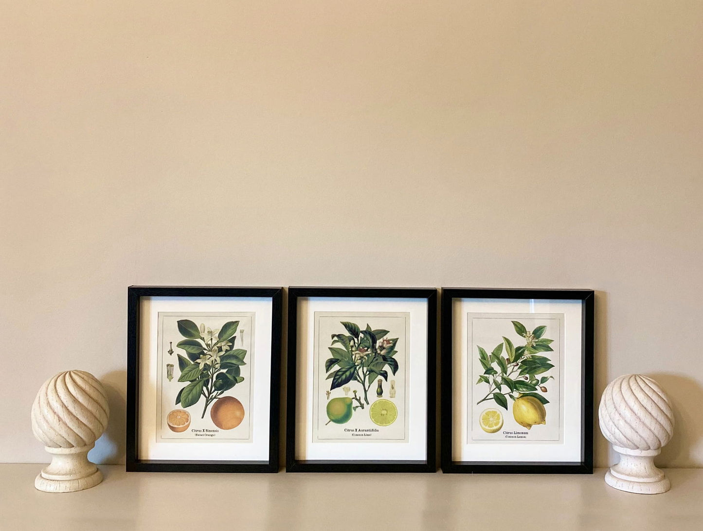 set-of-three-citrus-picture-framesat Willow and Wine!