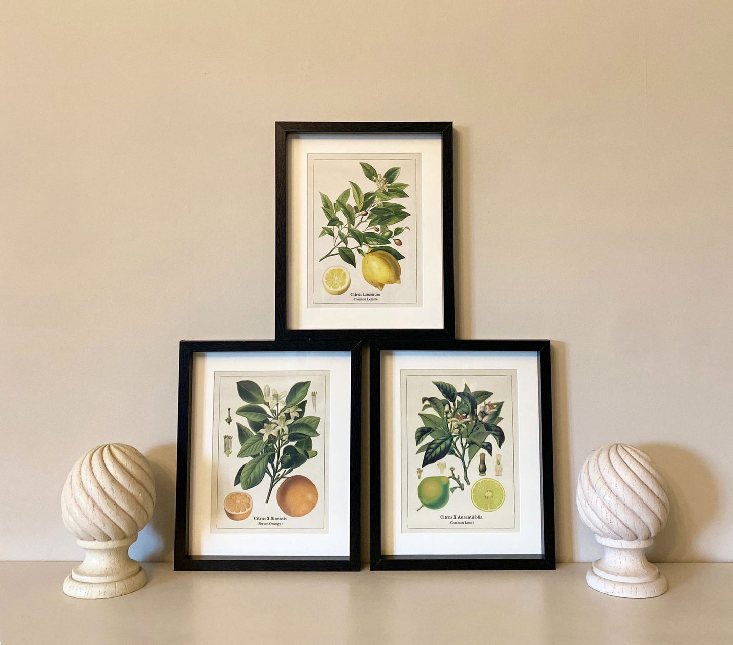 set-of-three-citrus-picture-framesat Willow and Wine!