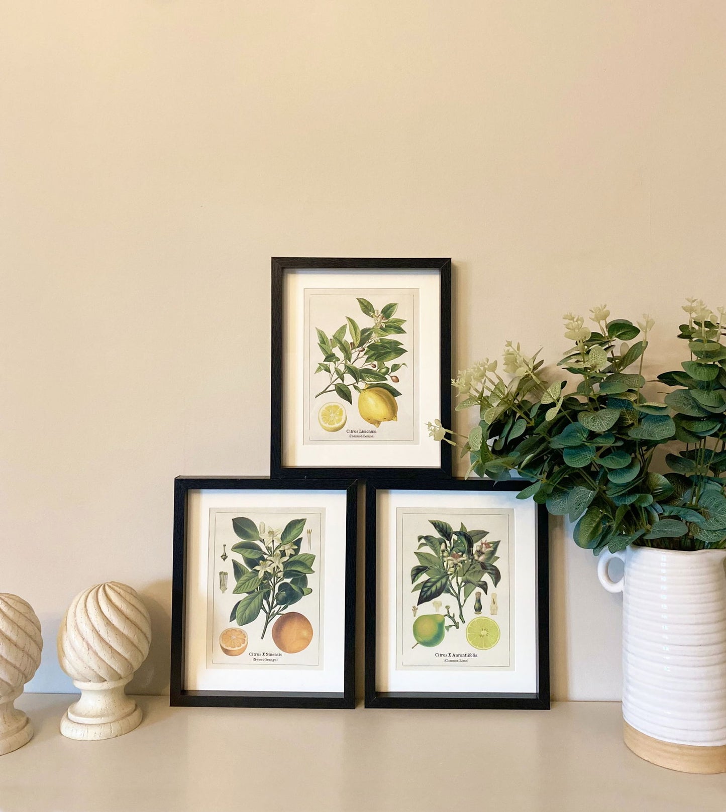 set-of-three-citrus-picture-framesat Willow and Wine!