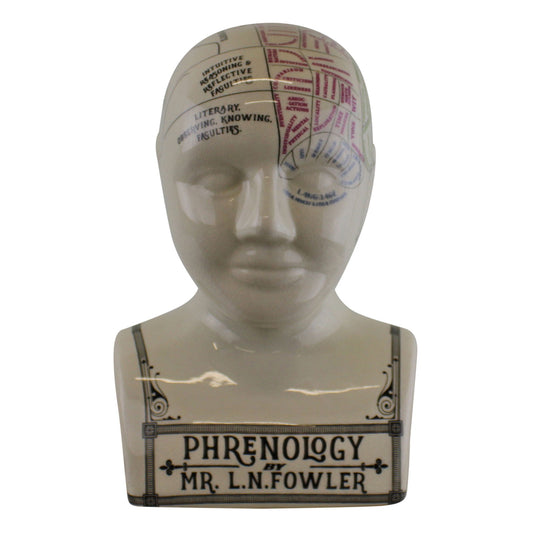 large-ceramic-crackle-phrenology-headat Willow and Wine!