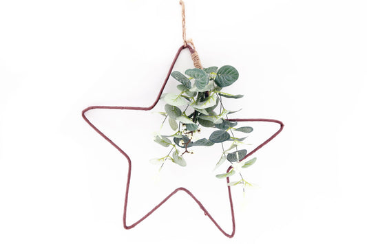 hanging-wire-star-with-eucalyptus-detailat Willow and Wine!