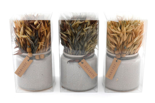 set-of-3-dried-grasses-in-ceramic-potsat Willow and Wine!