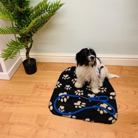 Black Paw Print Fleece Throw 60cm Willow and Wine