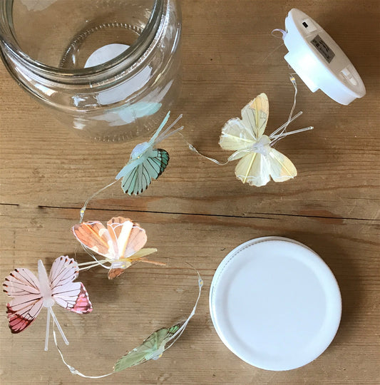 Butterfly Led Light Chain In Glass Jam Jar - Multicoloured Willow and Wine