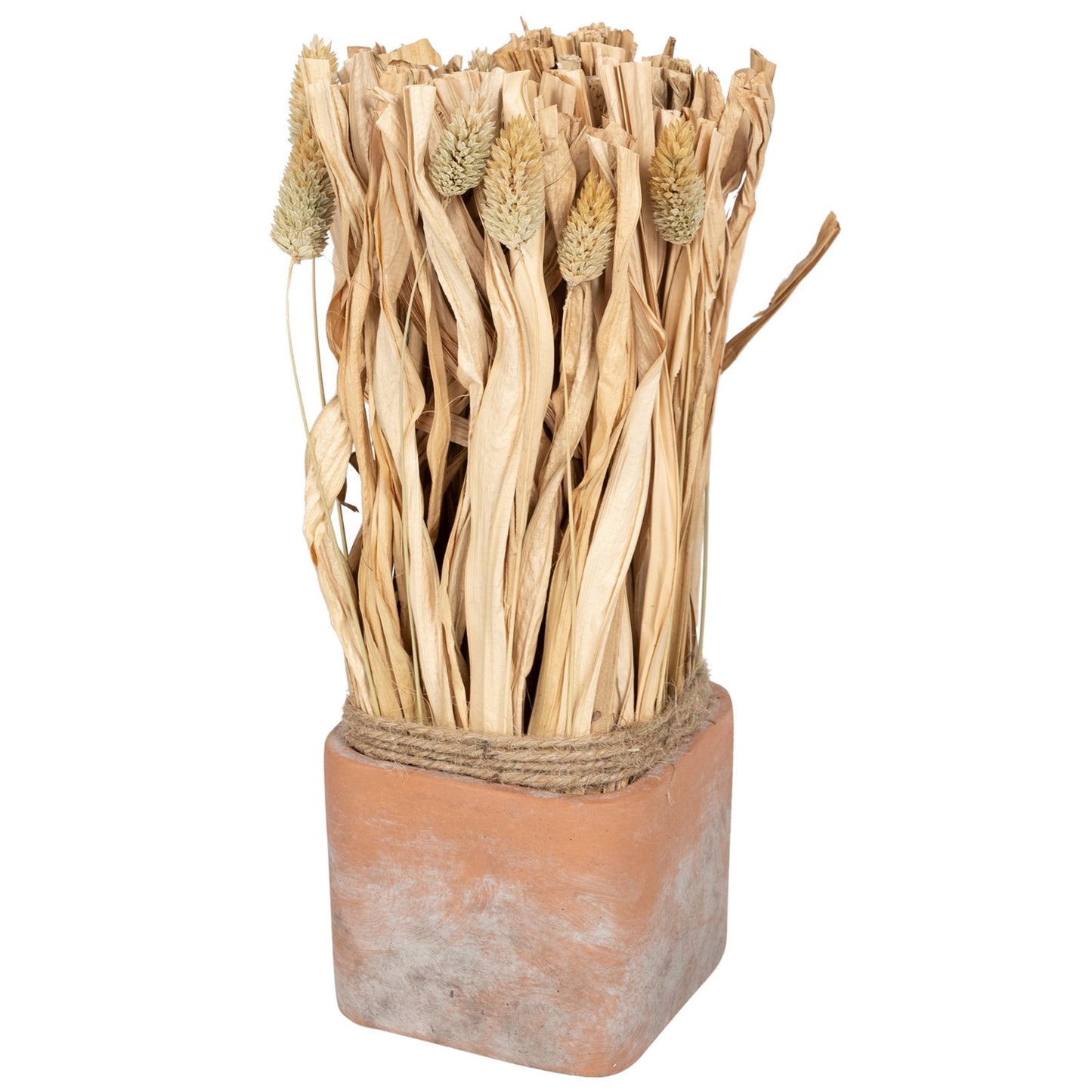 Fluffy Dried Grass Bouquet in Terracotta Pot- Large Willow and Wine