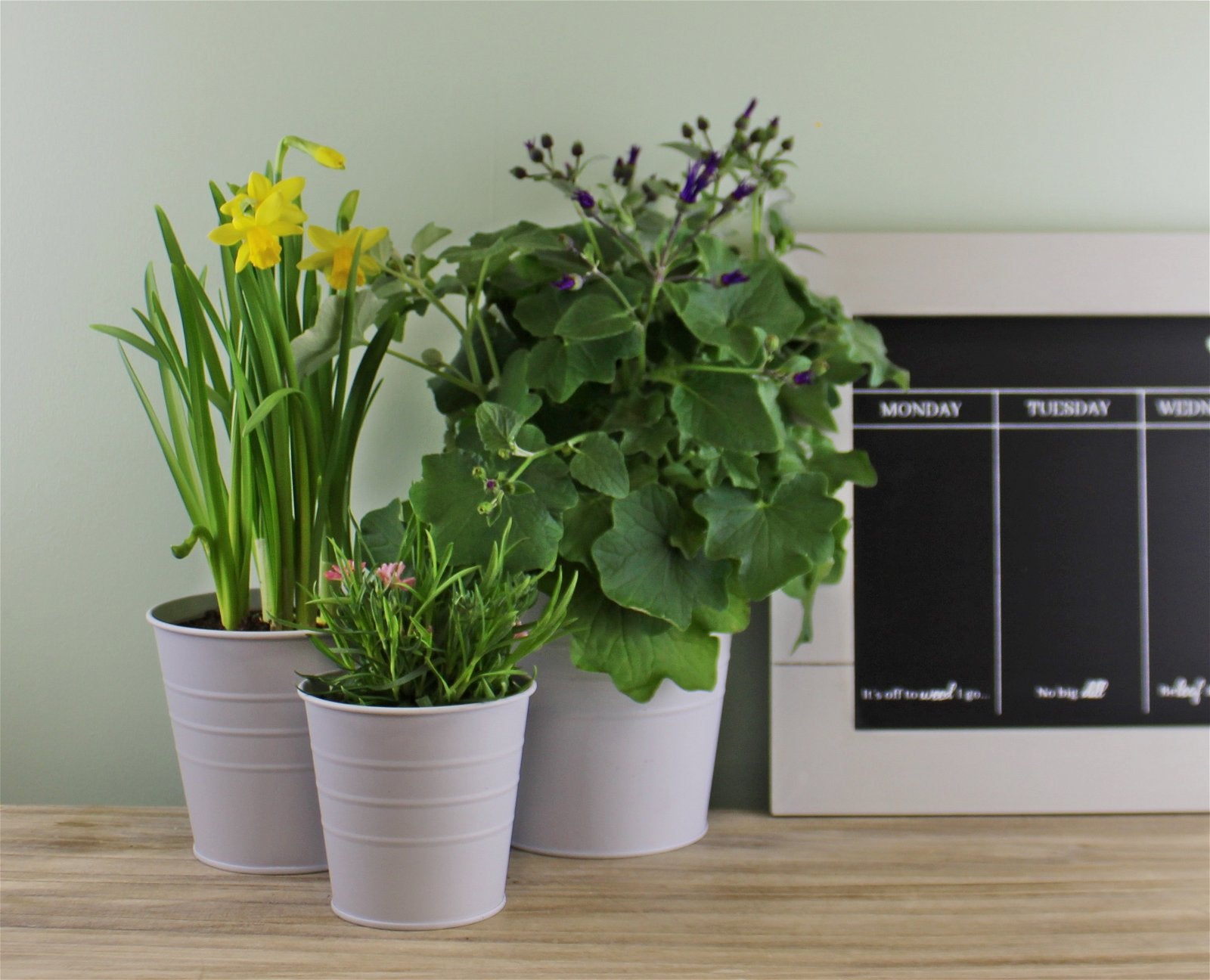 Set of 3 Round Metal Planters, Green Willow and Wine