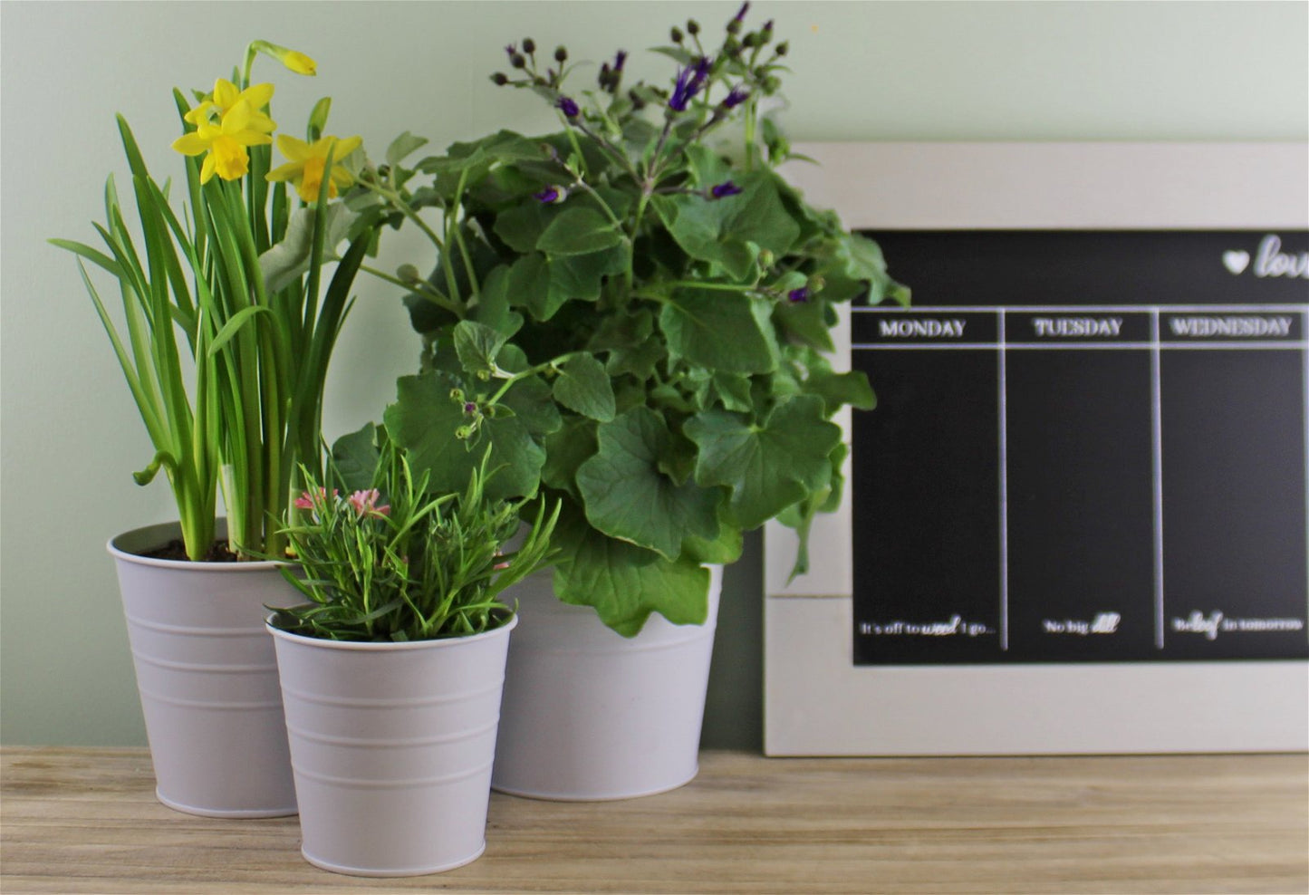 Set of 3 Round Metal Planters, Grey Willow and Wine