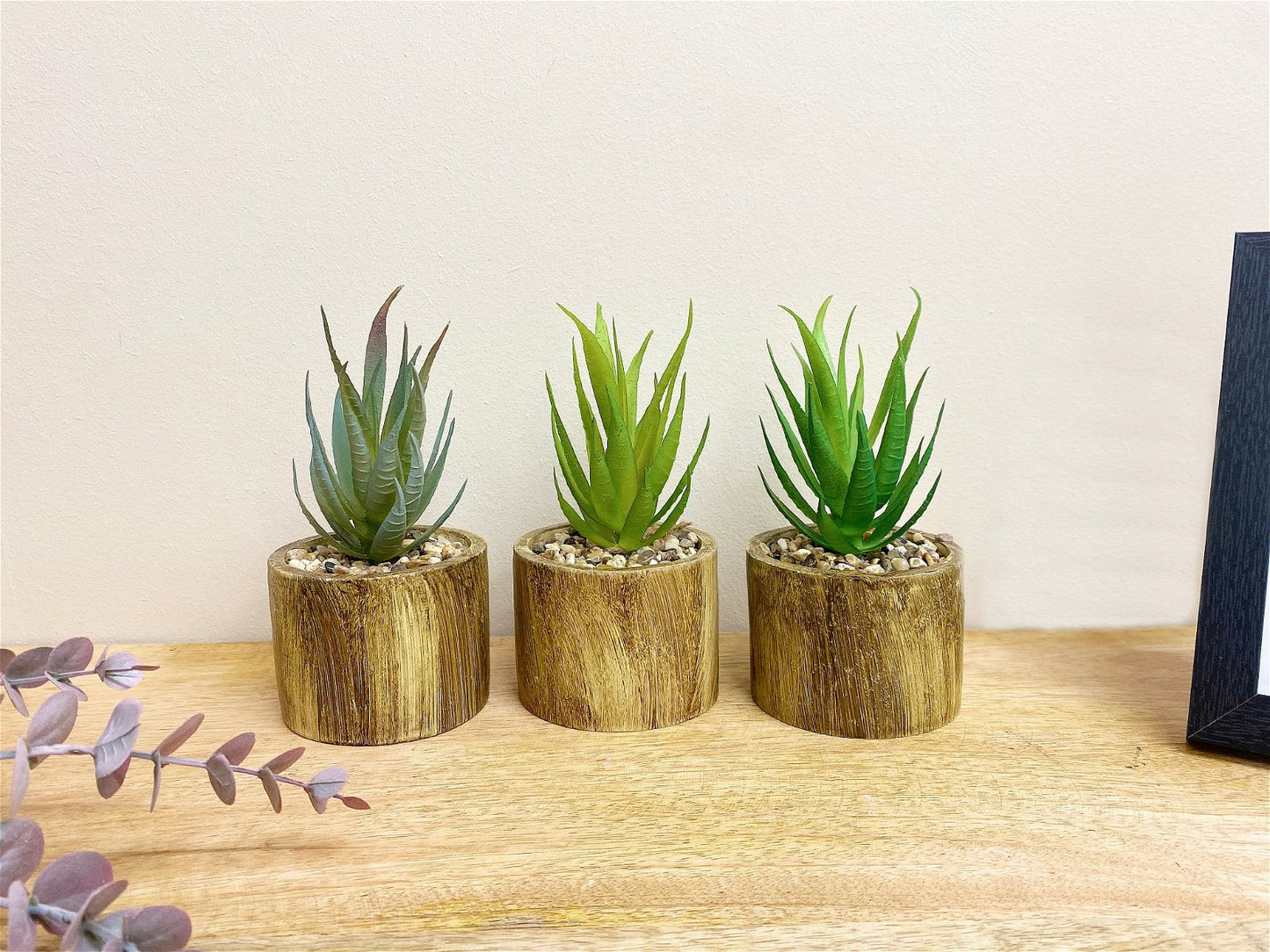 Set of Three Bark Effect Pot and Succulent Willow and Wine