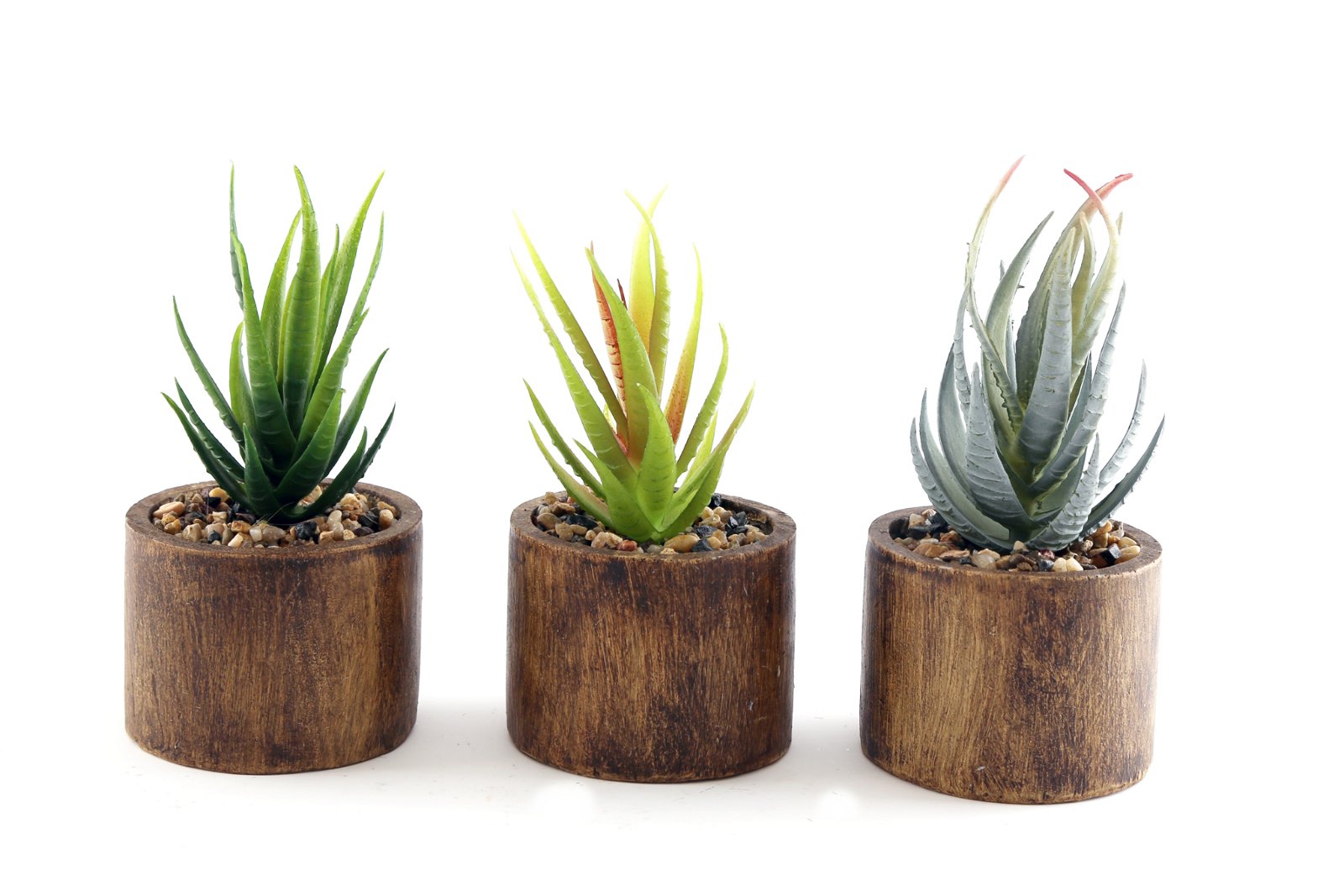 Set of Three Bark Effect Pot and Succulent Willow and Wine