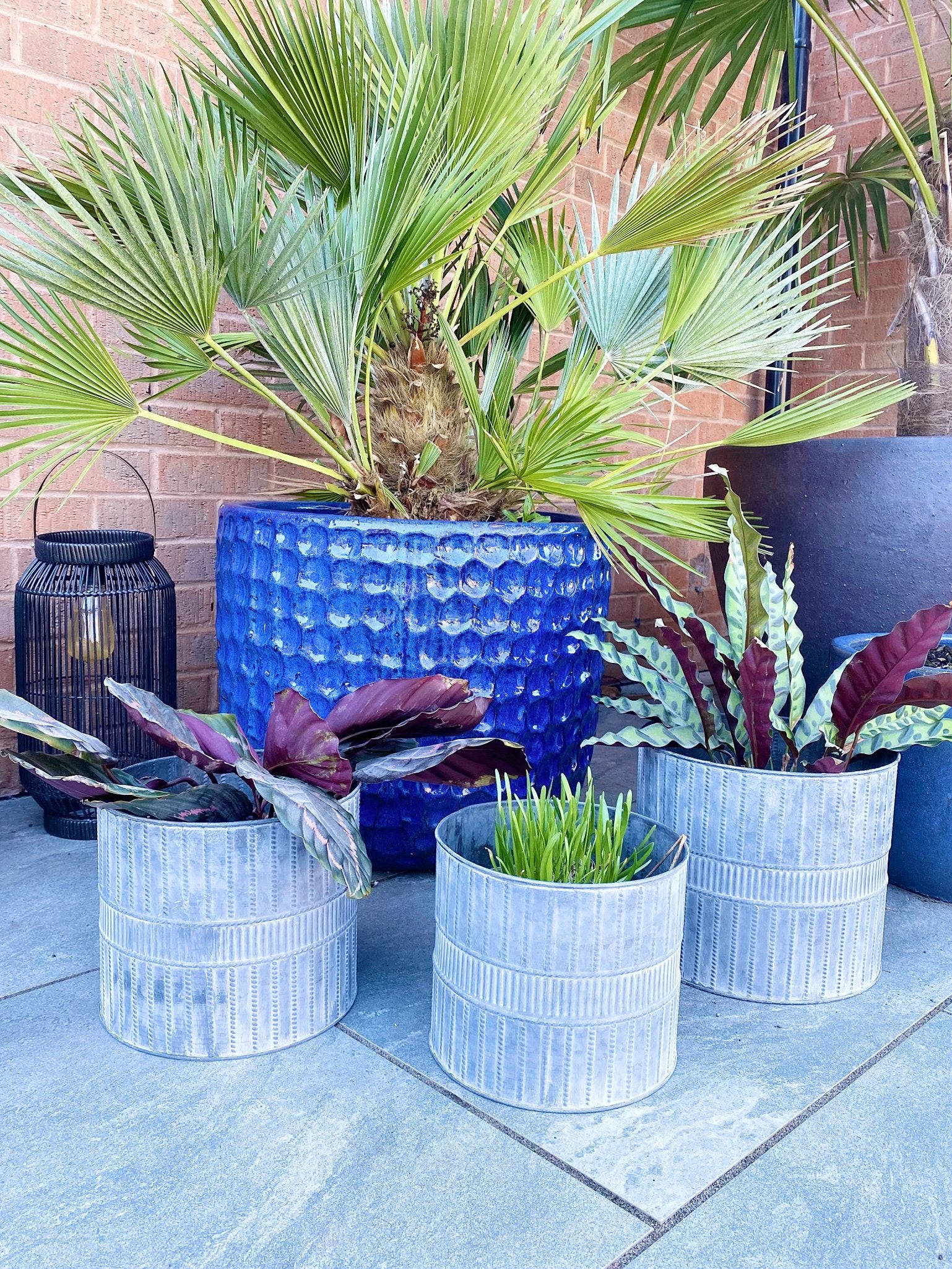 Set of Three Metal Garden Planters Willow and Wine