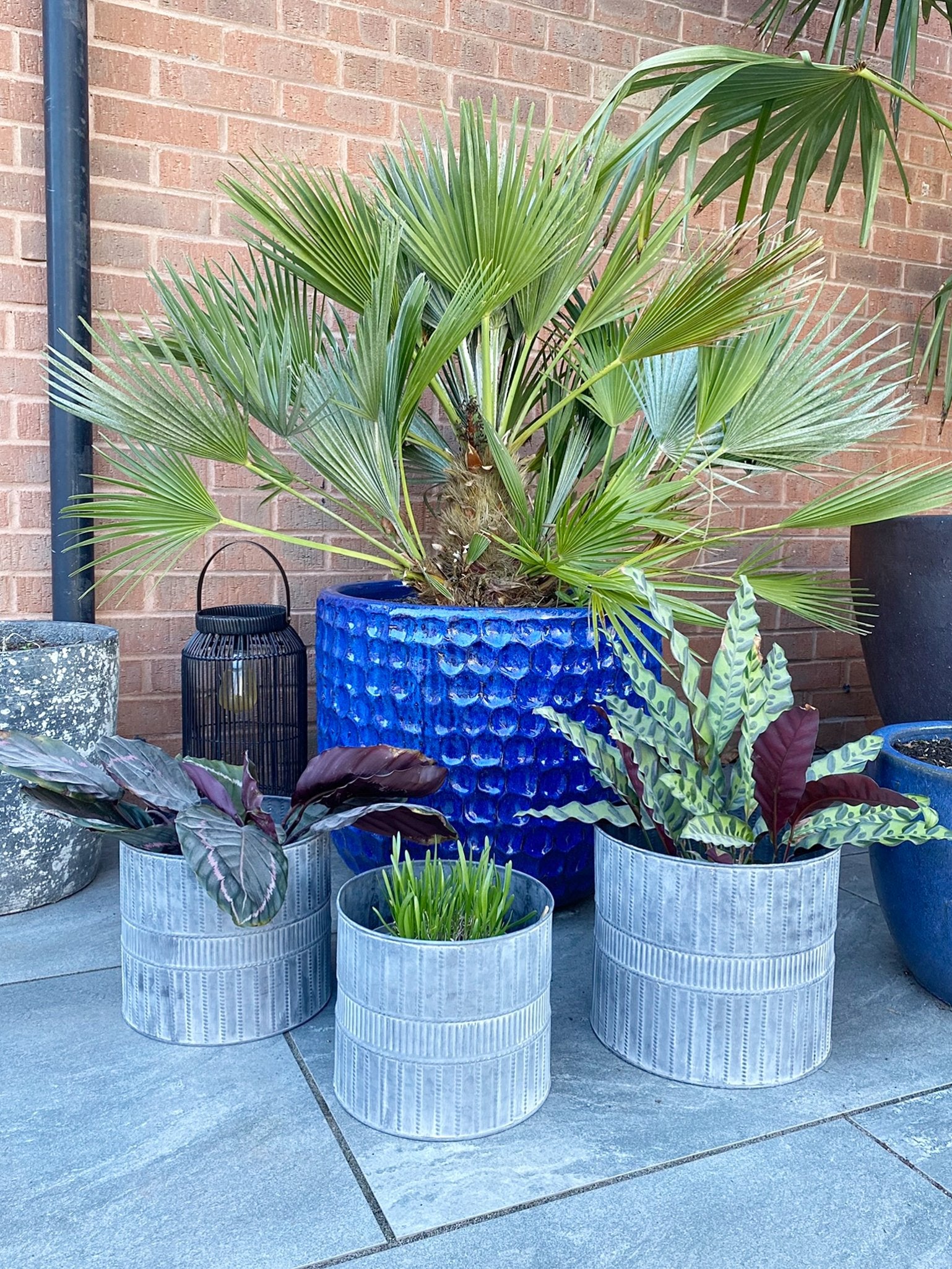 Set of Three Metal Garden Planters Willow and Wine